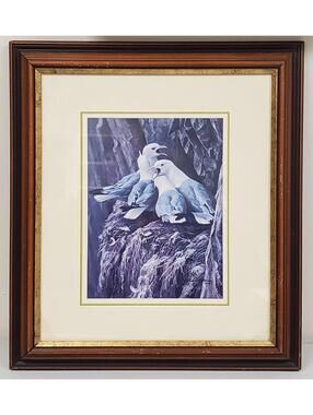 Robert Bateman 1979 Seagulls Nest Framed Print - Signed Wildlife Art